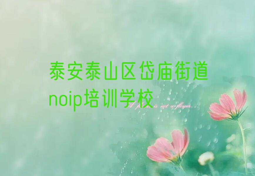 泰安泰山区岱庙街道noip培训学校