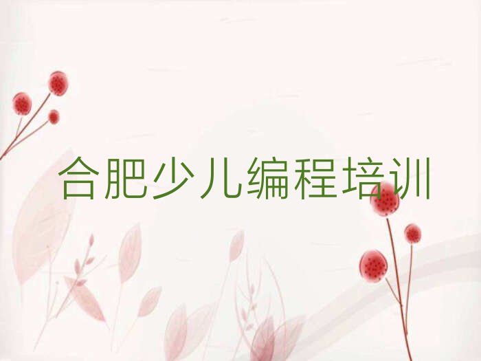 十大合肥青少年无人机大赛培训要选择哪里的机构排行榜