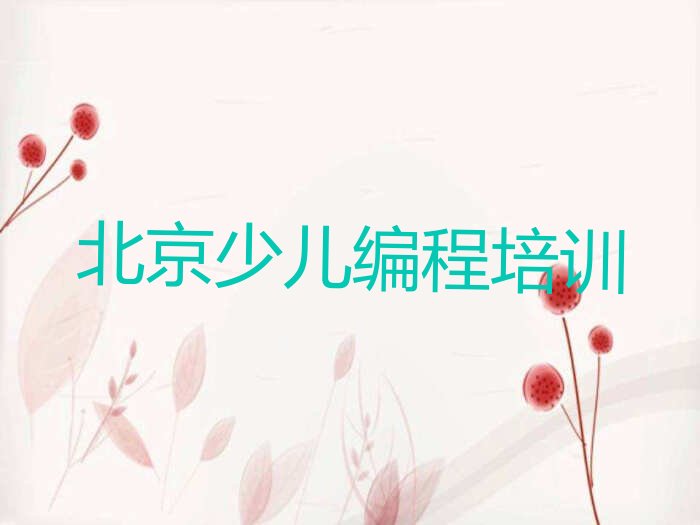 北京少儿编程培训学校