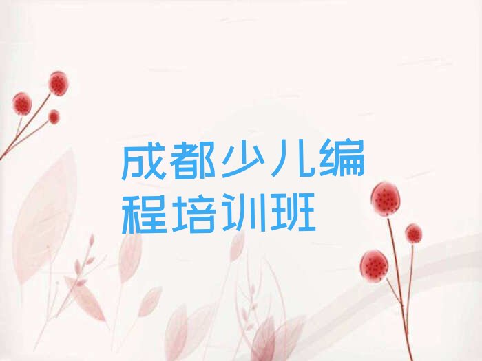 成都少儿编程培训班