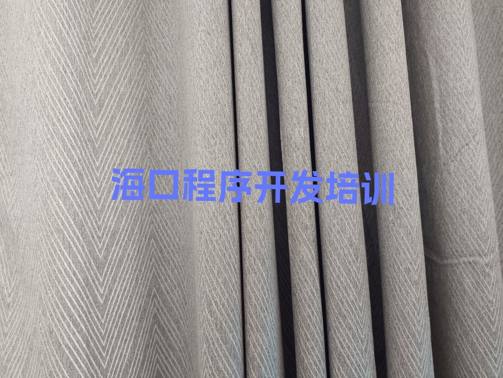 海口龙华区龙桥镇中学生Python编程培训学校