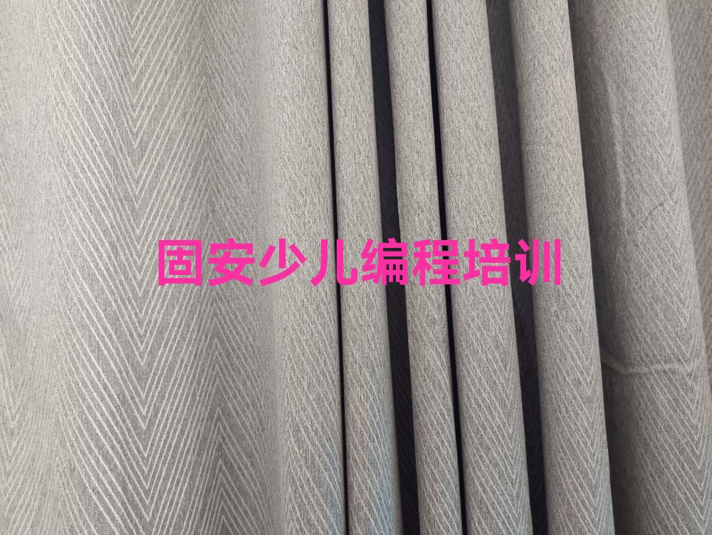 少儿编程科技素质