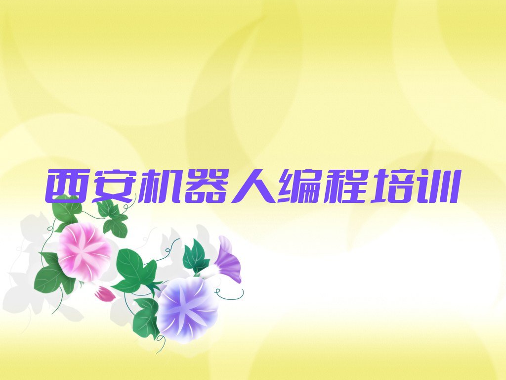 西安雁塔区杜城街道机器人编程培训学校