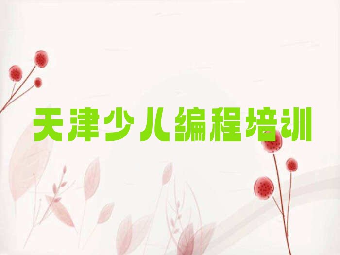 天津滨海新区少儿编程培训中心