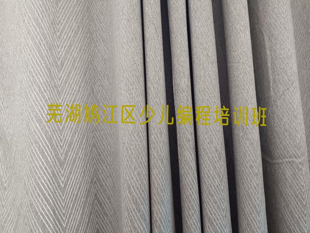 芜湖鸠江区少儿编程培训班