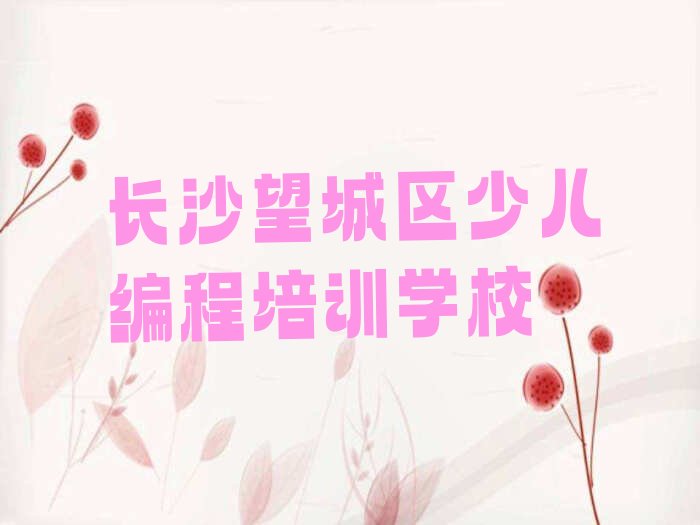 长沙望城区少儿编程培训学校