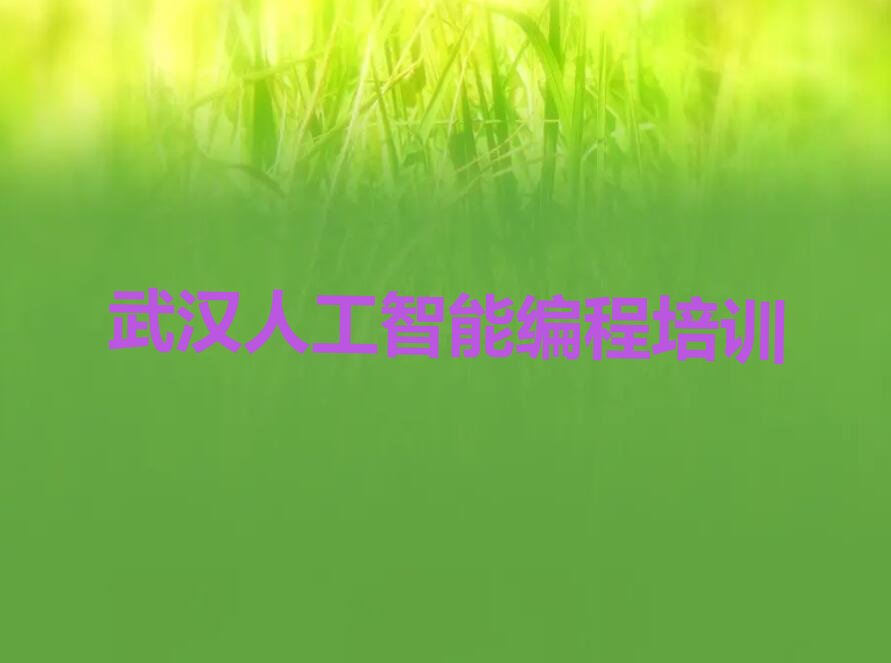 十大武汉武昌区人工智能编程培训专业课精选名单排行榜汇总排行榜