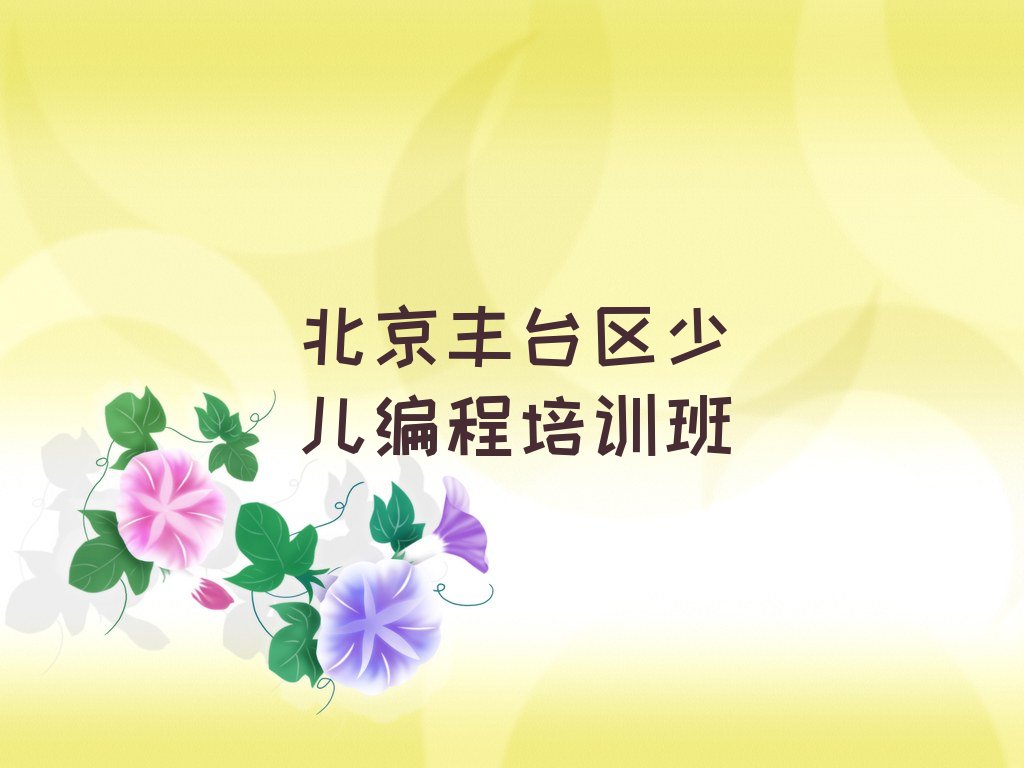 北京丰台区少儿编程培训班