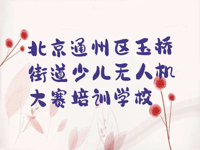 北京通州区玉桥街道少儿无人机大赛培训学校