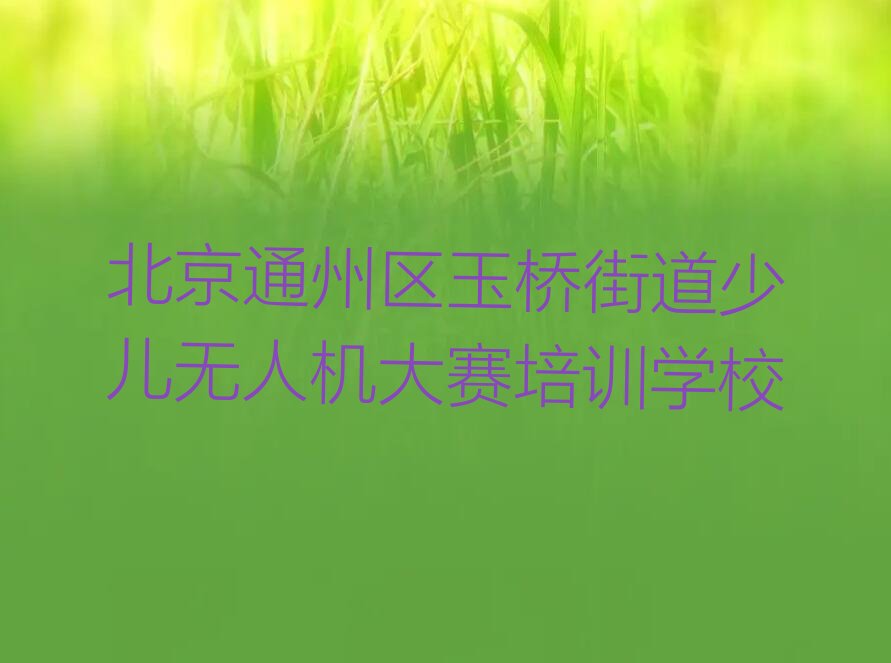 北京通州区玉桥街道少儿无人机大赛培训学校