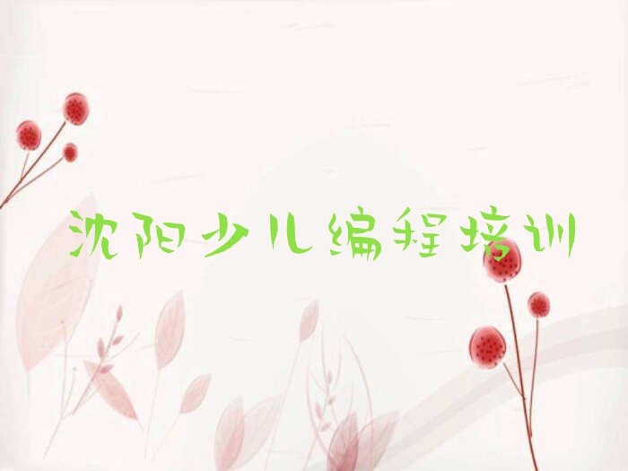 沈阳苏家屯区孩子编程培训学校