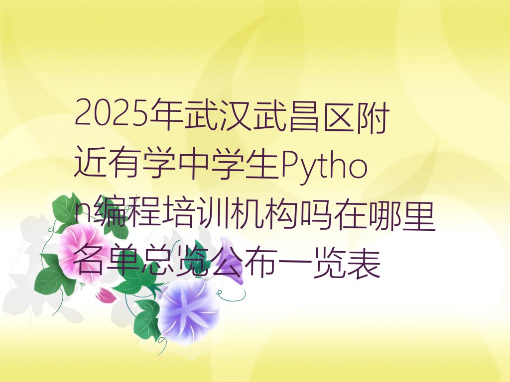 中学生Python编程