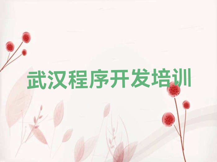武汉武昌区紫阳街道少儿编程培训学校
