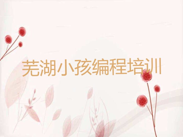 芜湖小孩编程培训学校