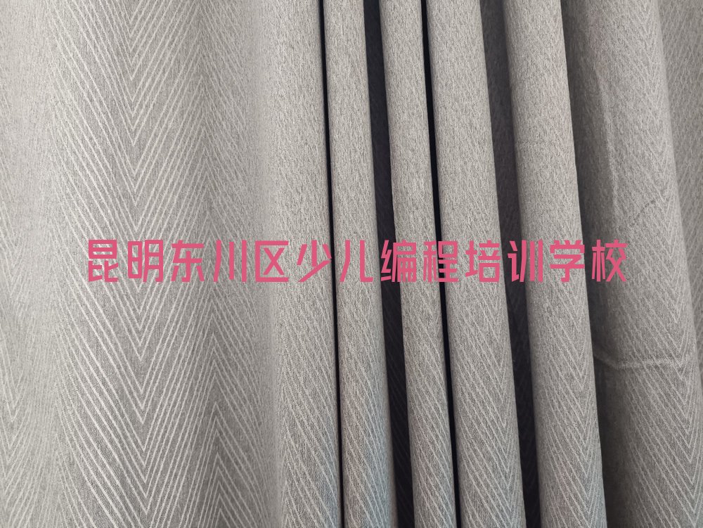 昆明东川区少儿编程培训学校