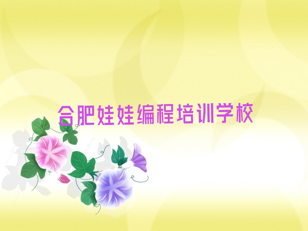 合肥娃娃编程培训学校