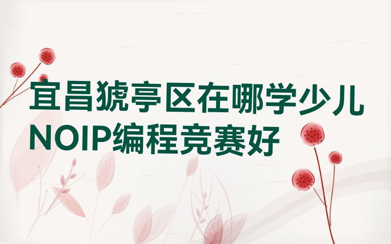 十大宜昌猇亭区在哪学少儿NOIP编程竞赛好排行榜
