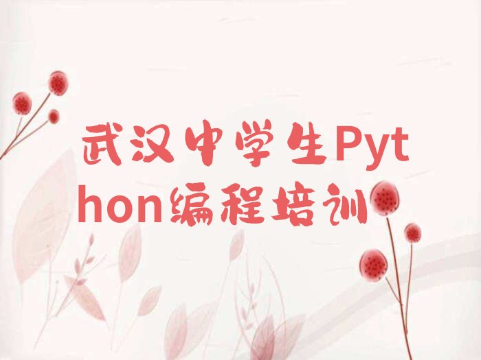 武汉汉南区邓南街道中学生Python编程培训学校