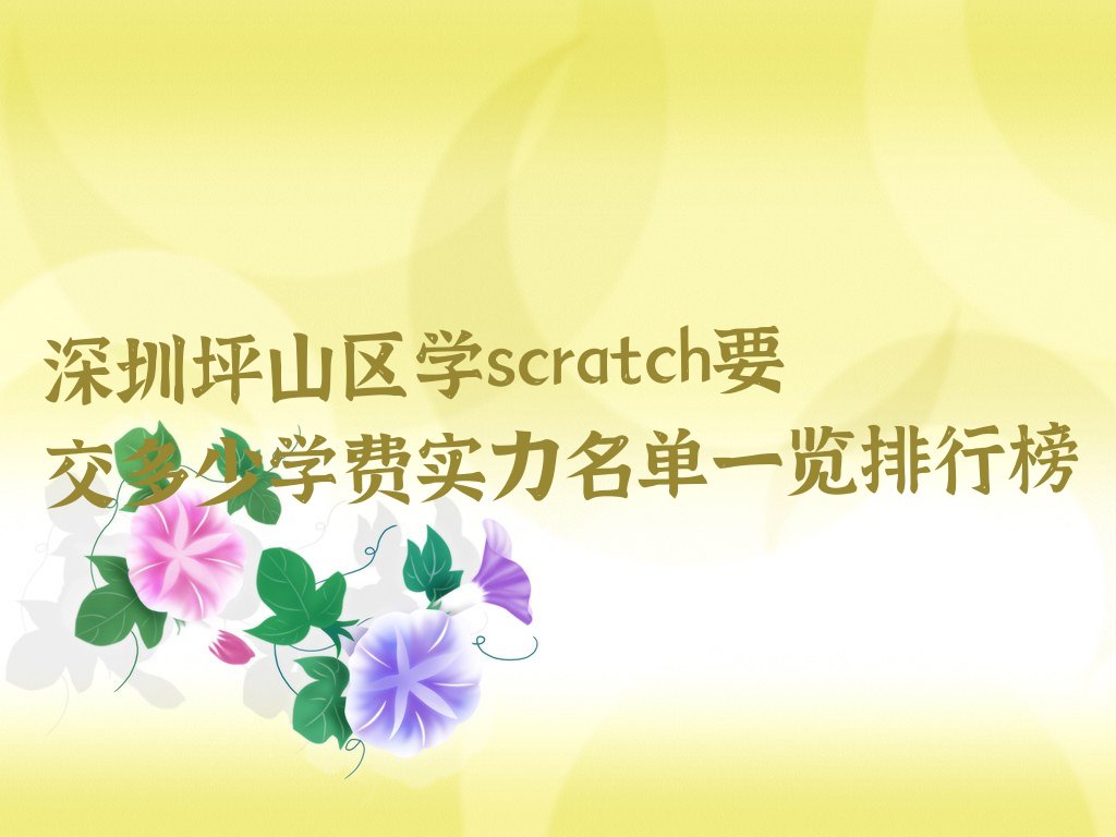 深圳坪山区scratch培训学校
