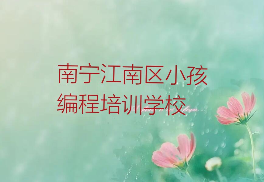 十大南宁江南区国内知名小孩编程培训学校排行榜