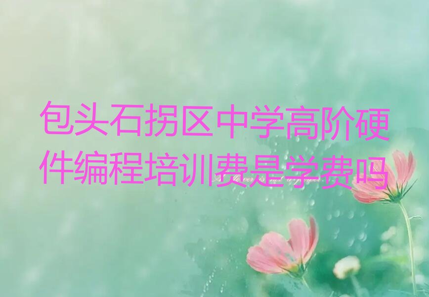 包头石拐区石拐街道少儿编程培训学校