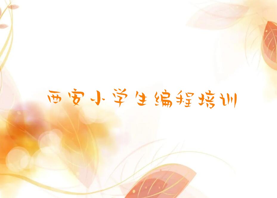 西安莲湖区小学生编程培训学校