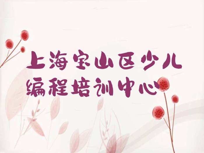 上海宝山区少儿编程培训中心