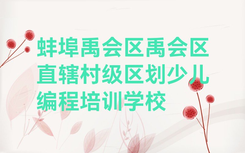 蚌埠禹会区禹会区直辖村级区划少儿编程培训学校