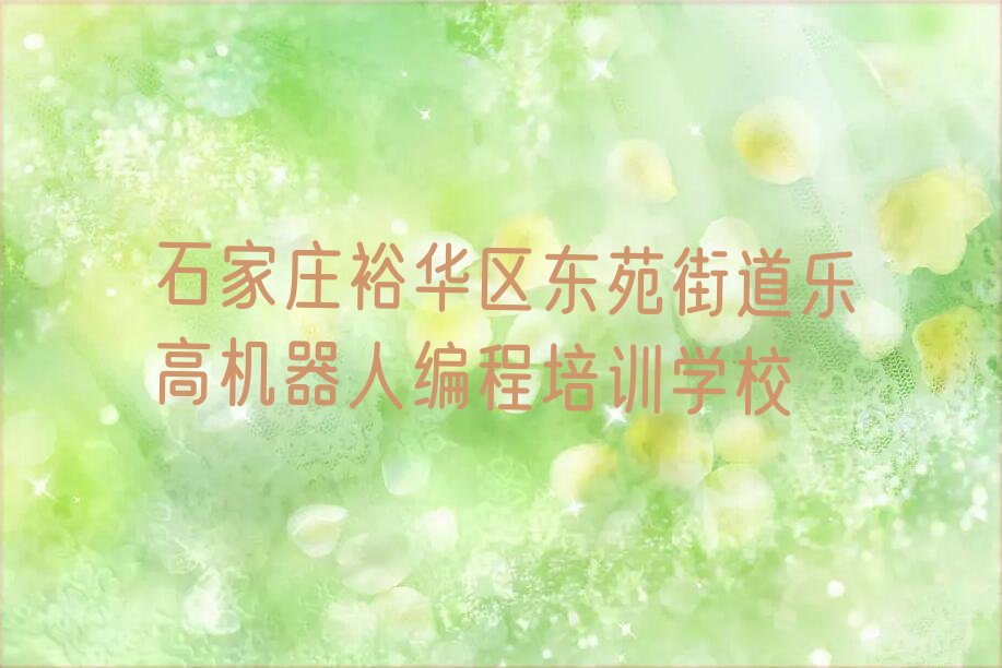 石家庄裕华区东苑街道乐高机器人编程培训学校