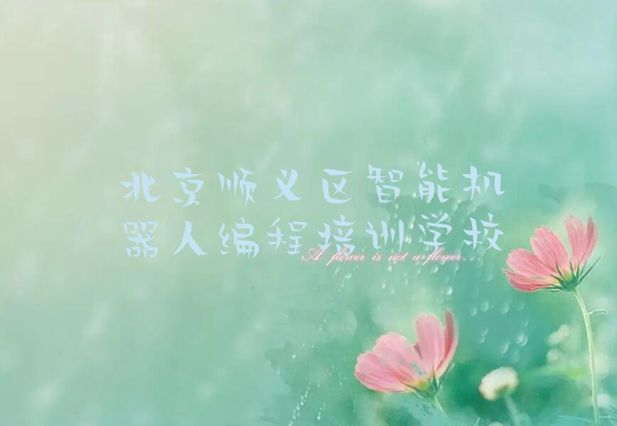 北京顺义区智能机器人编程培训学校