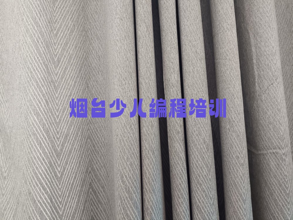 烟台少儿编程培训中心