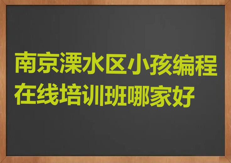 南京溧水区东屏街道少儿编程培训学校