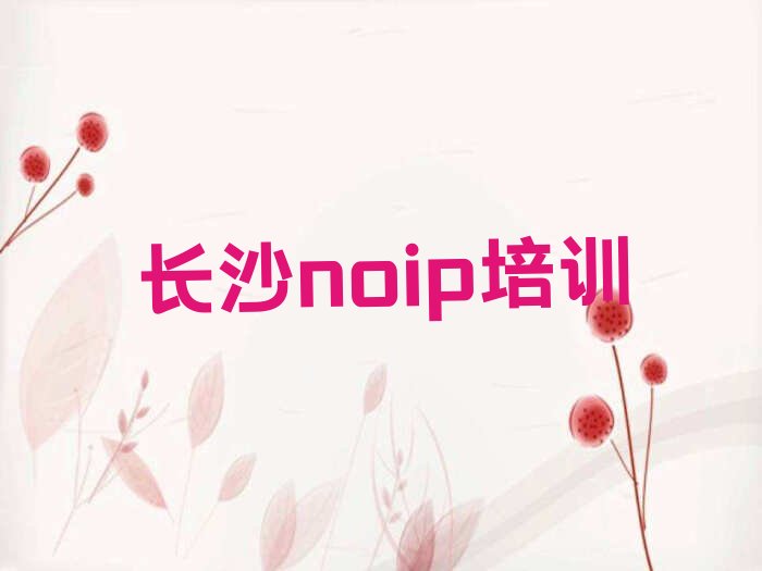 十大2025noip培训长沙排名名单一览排行榜排行榜