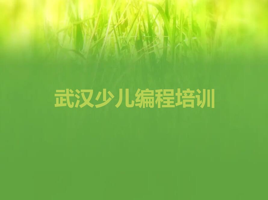 武汉黄陂区少儿编程培训学校