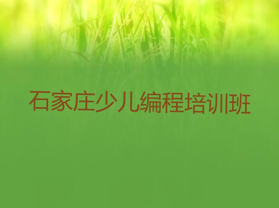 石家庄少儿编程培训班