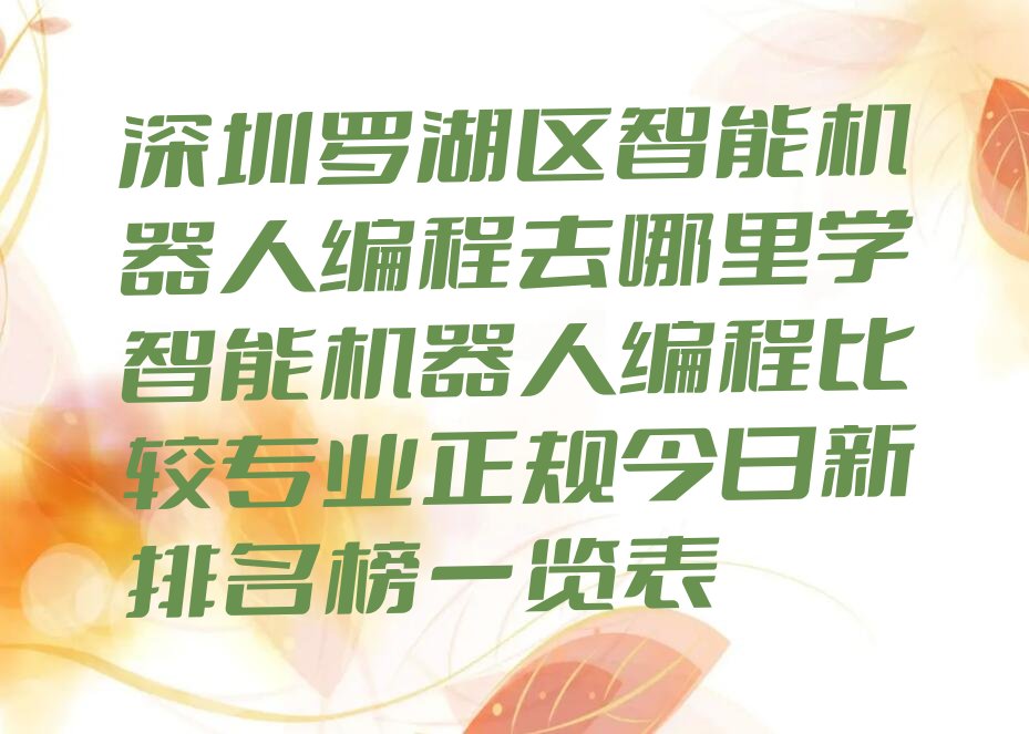 深圳罗湖区少儿编程培训班