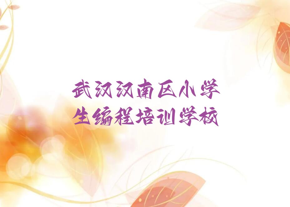 小学生编程