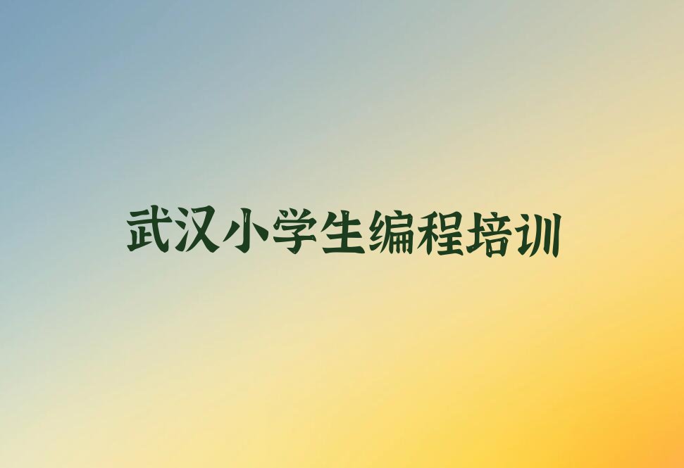 武汉汉南区小学生编程培训学校