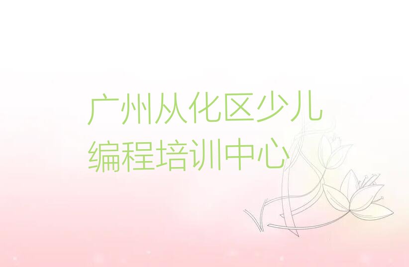 广州从化区少儿编程培训中心