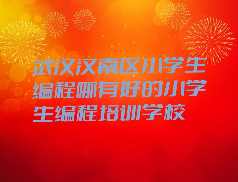 武汉汉南区小学生编程培训学校