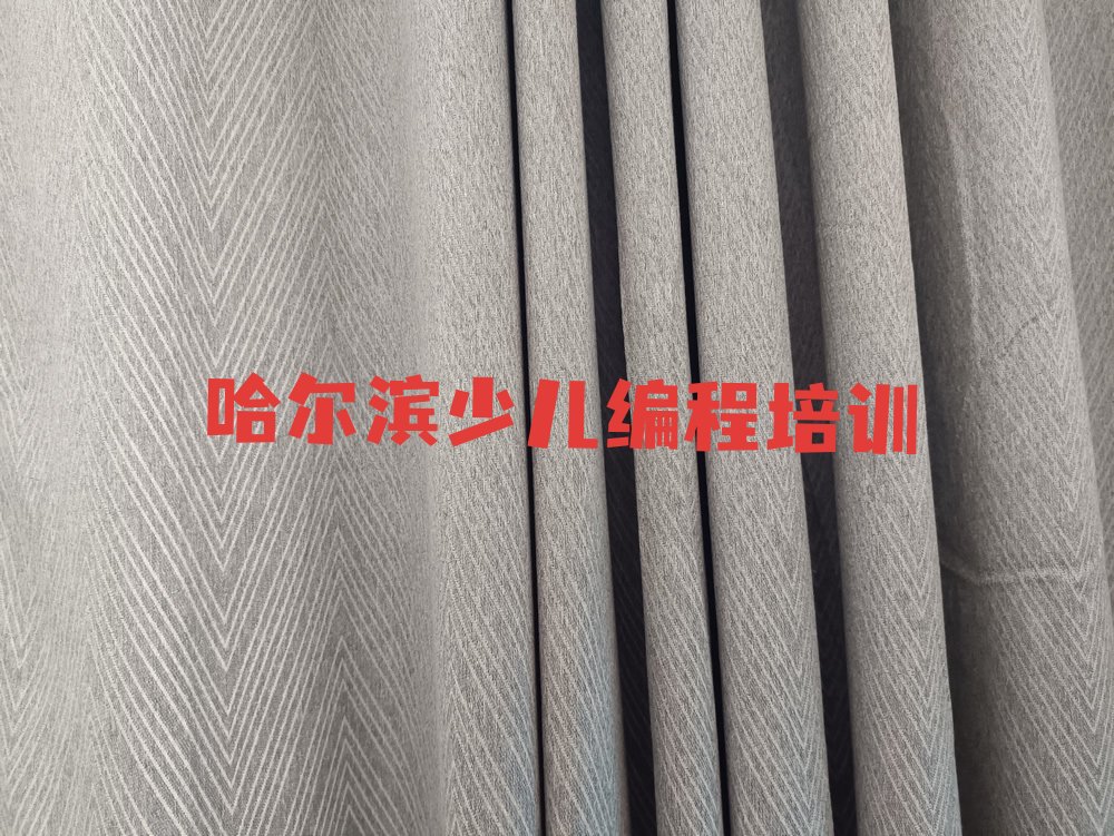 中学生编程
