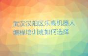 武汉汉阳区乐高机器人编程培训班如何选择