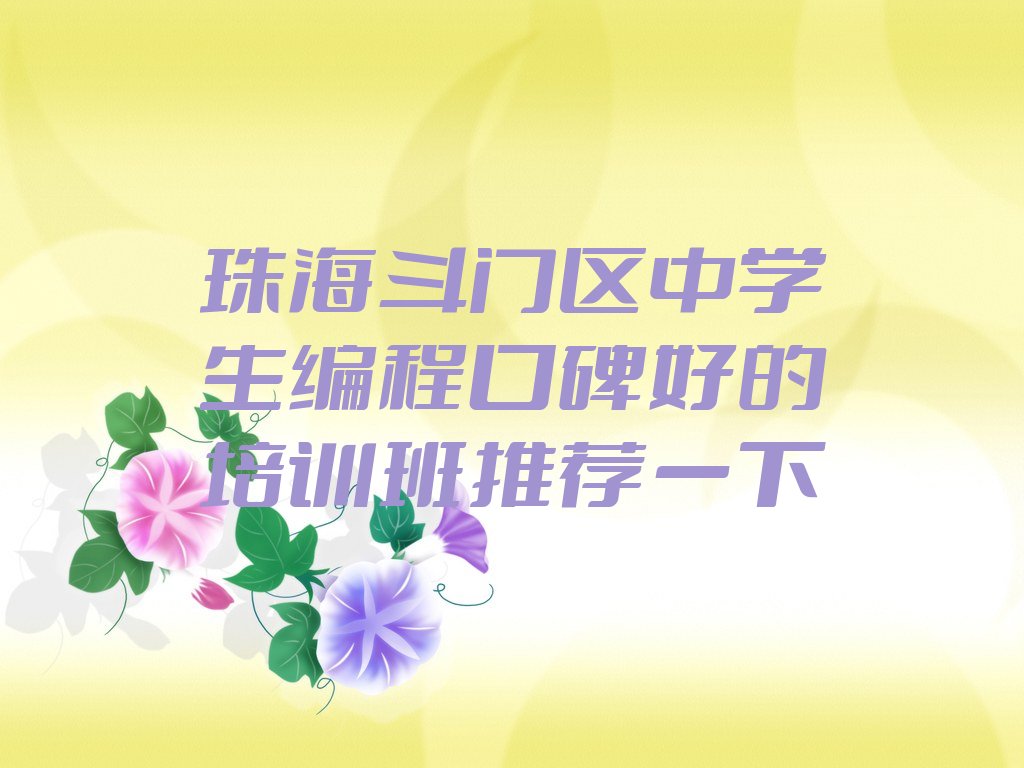 珠海斗门区中学生编程培训学校