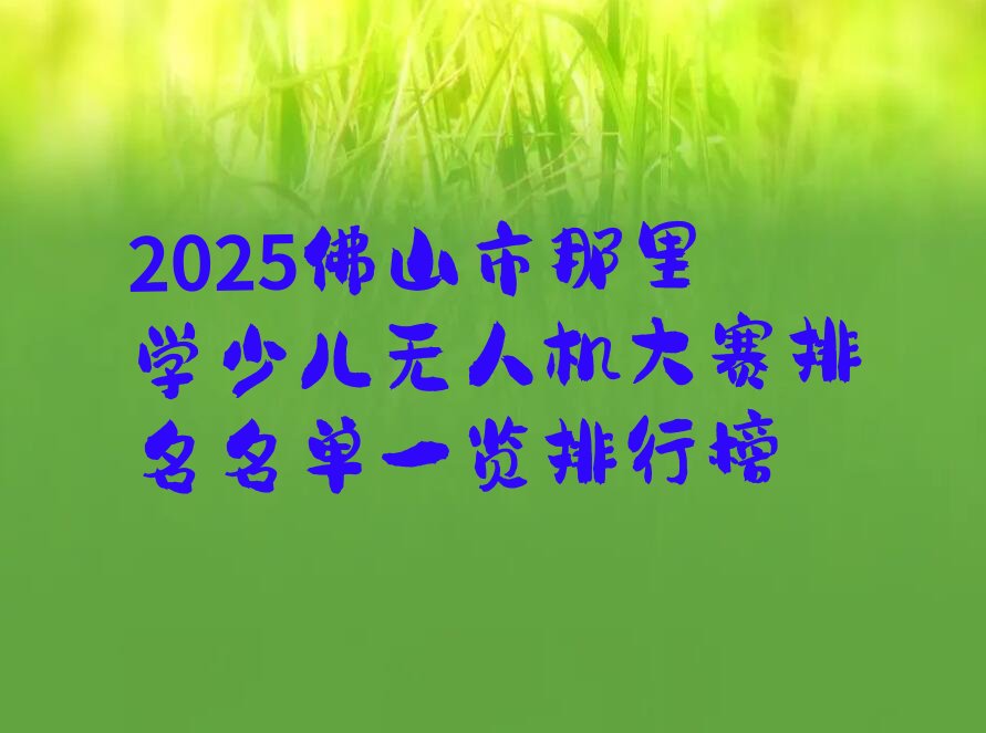 十大2025佛山市那里学少儿无人机大赛排名名单一览排行榜排行榜