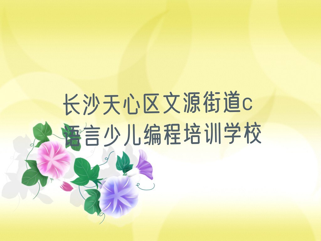 长沙天心区文源街道c语言少儿编程培训学校