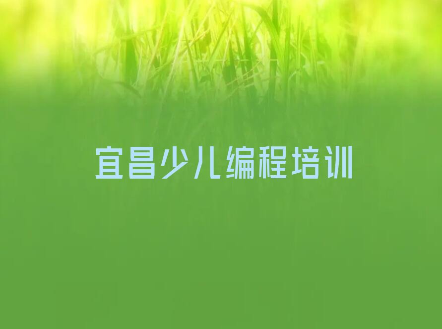 宜昌点军区少儿编程培训班