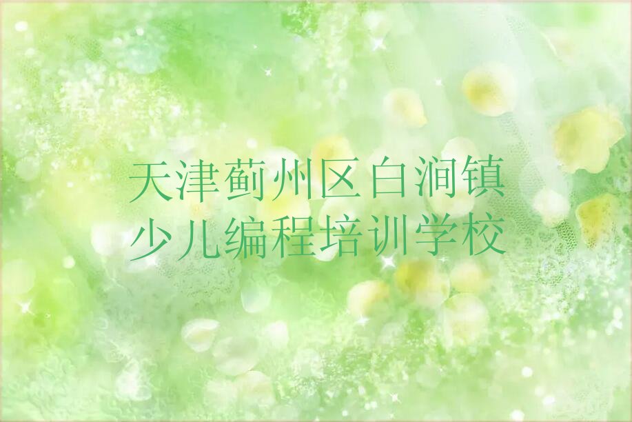 天津蓟州区白涧镇少儿编程培训学校