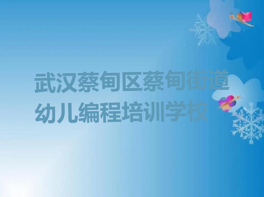 武汉蔡甸区蔡甸街道幼儿编程培训学校