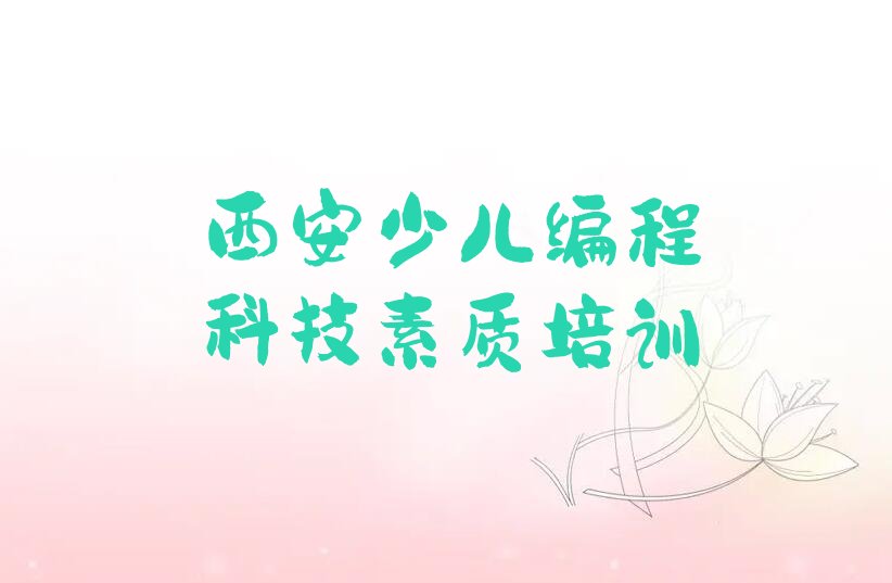 西安鄠邑区秦渡街道少儿编程科技素质培训学校