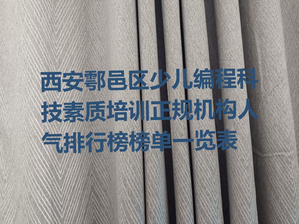 西安鄠邑区秦渡街道少儿编程科技素质培训学校